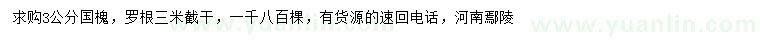 求購3公分國槐