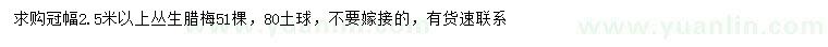 求購(gòu)冠幅2.5米以上叢生臘梅