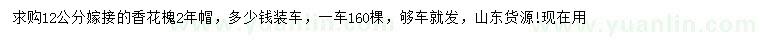 求購12公分香花槐