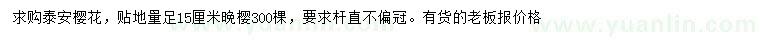 求購地面量15公分櫻花