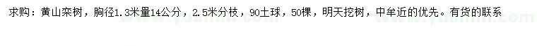 求購(gòu)1.3米量14公分黃山欒樹(shù)