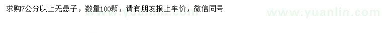 求購7公分以上無患子