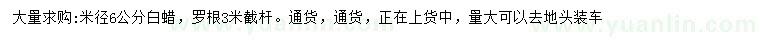 求購米徑6公分白蠟
