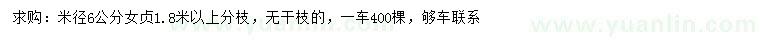 求購米徑6公分女貞