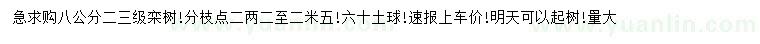 求購8公分欒樹