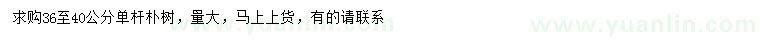 求購36-40公分樸樹
