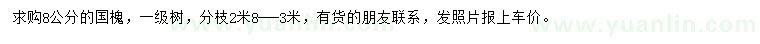 求購8公分國槐