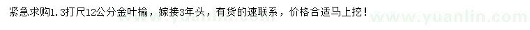求購1.3米量12公分金葉榆