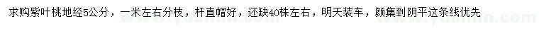 求購地徑5公分紫葉桃