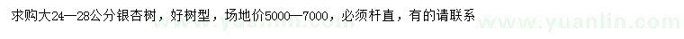 求購24-28公分銀杏