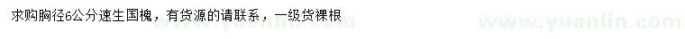 求購(gòu)胸徑6公分速生國(guó)槐