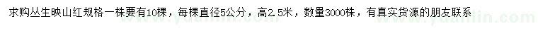 求購5公分叢生映山紅