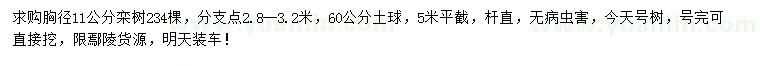 求購胸徑11公分欒樹