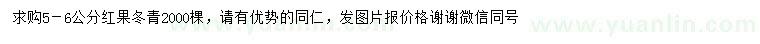 求購(gòu)5-6公分紅果冬青