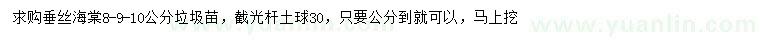 求購8-9-10公分垂絲海棠