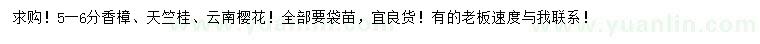 求購香樟、天竺桂、云南櫻花