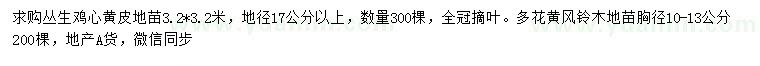 求購地徑17公分以上叢生雞心黃皮、胸徑10-13公分多花黃風(fēng)鈴木