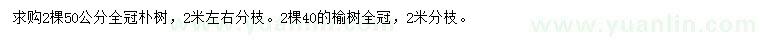 求購50公分樸樹、40公分榆樹