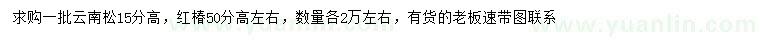 求購(gòu)高15公分云南松，高50公分紅椿