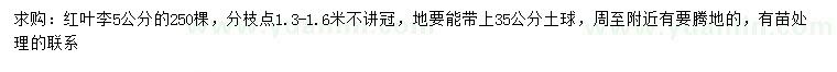 求購5公分紅葉李