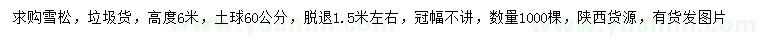 求購高6米雪松