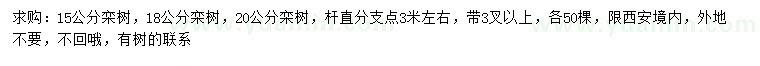 求購15、18、20公分欒樹