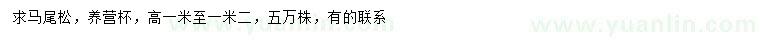 求購(gòu)高1-1.2米馬尾松