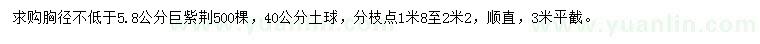 求購胸徑不低于5.8公分巨紫荊