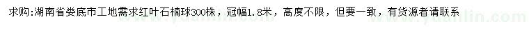 求購(gòu)冠幅1.8米紅葉石楠球