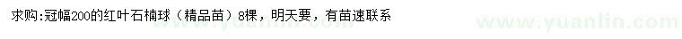 求購冠幅200公分紅葉石楠球