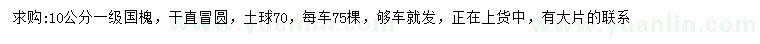 求購10公分國槐