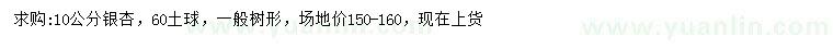 求購10公分銀杏