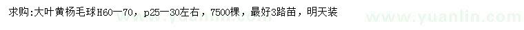 求購冠幅20-30公分左右大葉黃楊球