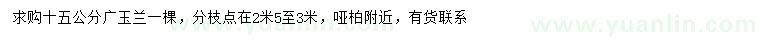 求購15公分廣玉蘭