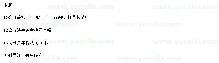 求購垂柳、黃金槐、法桐