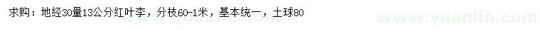 求購(gòu)30量13公分紅葉李