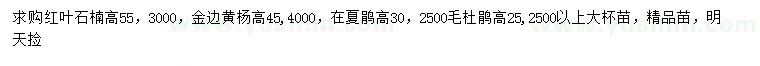 求購紅葉石楠、金邊黃楊、夏鵑等