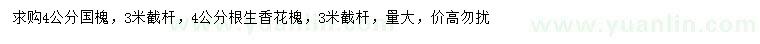 求購4公分國槐、香花槐