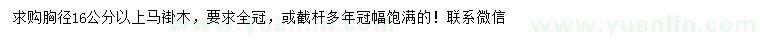 求購胸徑16公分以上馬褂木