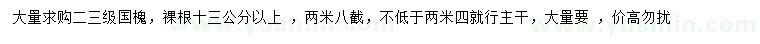 求購13公分以上國槐