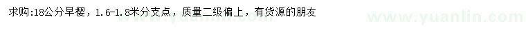 求購18公分早櫻
