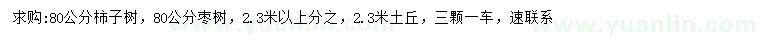 求購80公分柿子樹、棗樹