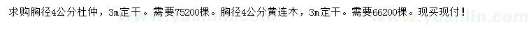 求購(gòu)胸徑4公分杜仲、黃連木