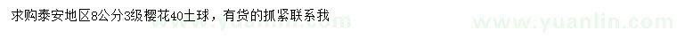 求購8公分櫻花