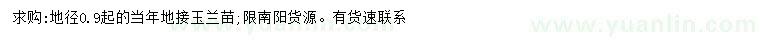 求購地徑0.9公分以上玉蘭