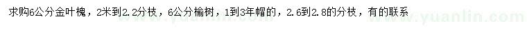 求購6公分金葉槐、榆樹