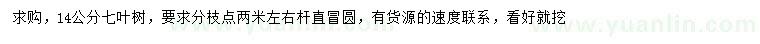 求購14公分七葉樹