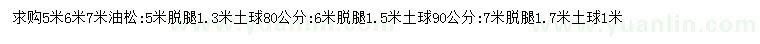 求購5、6、7米油松