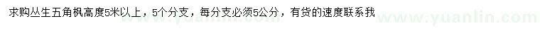 求購高5米以上叢生五角楓