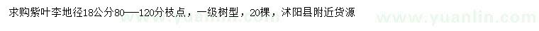 求購地徑18公分紫葉李